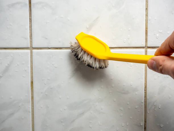 Best DIY Mold Remediation Support Services in Hales Corners, WI